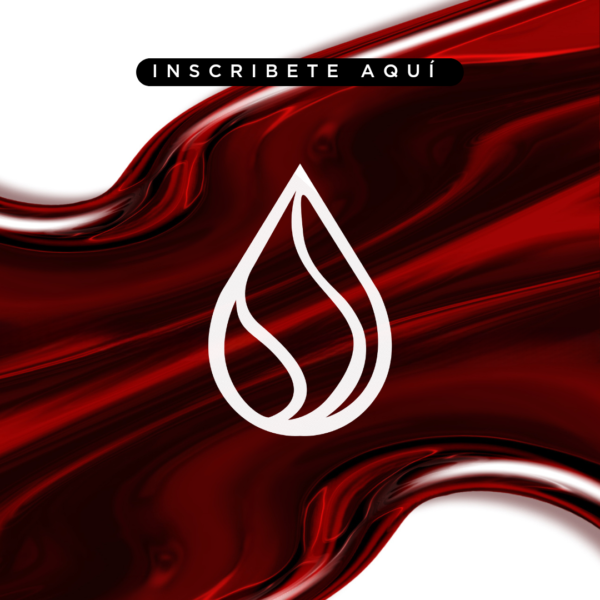 Fest 2024: "Precio de Sangre"